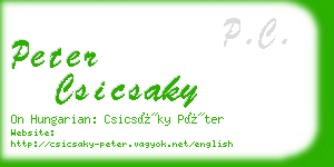 peter csicsaky business card